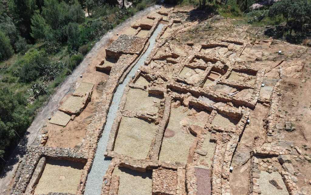 Sector 1 - Poblat de sant Josep, campanya de 2025 -2026