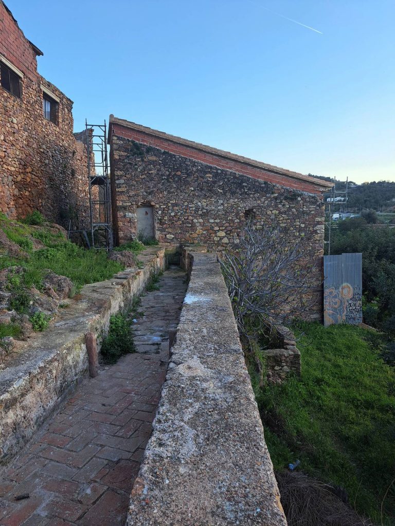 Fillola de la Séquia Major que portava l’aigua fins al Molí Xiquet.