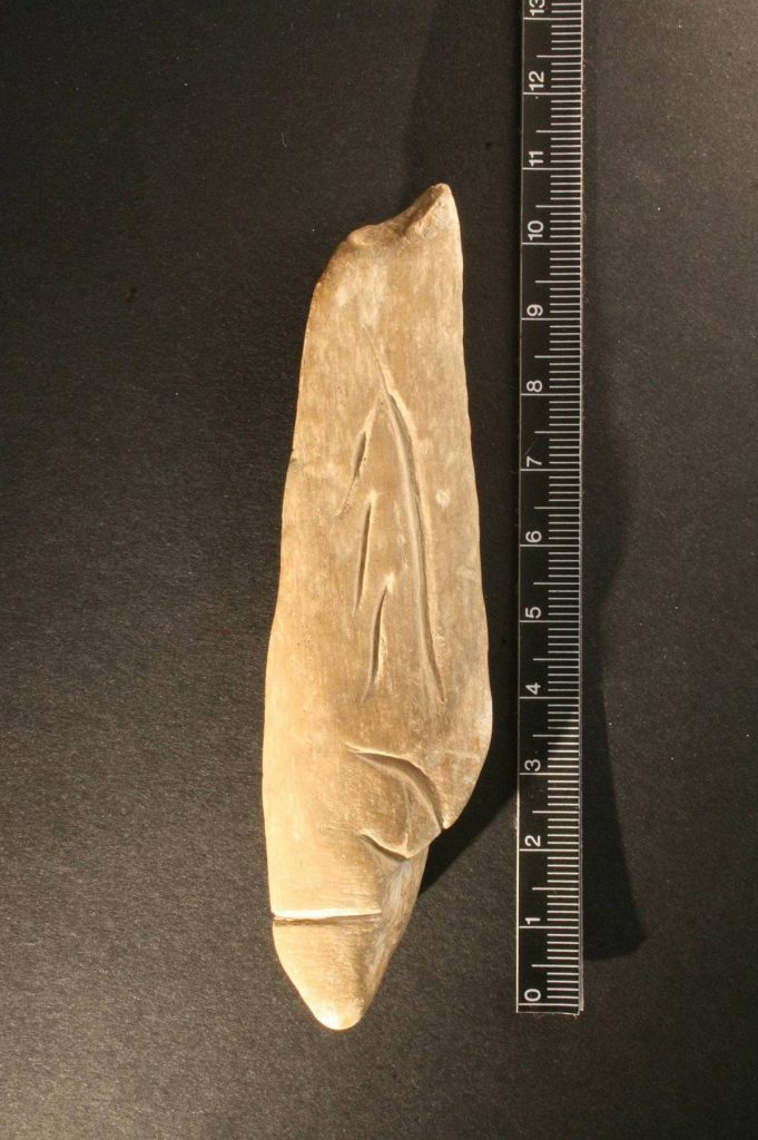 Fragment d’os decorat amb incisions