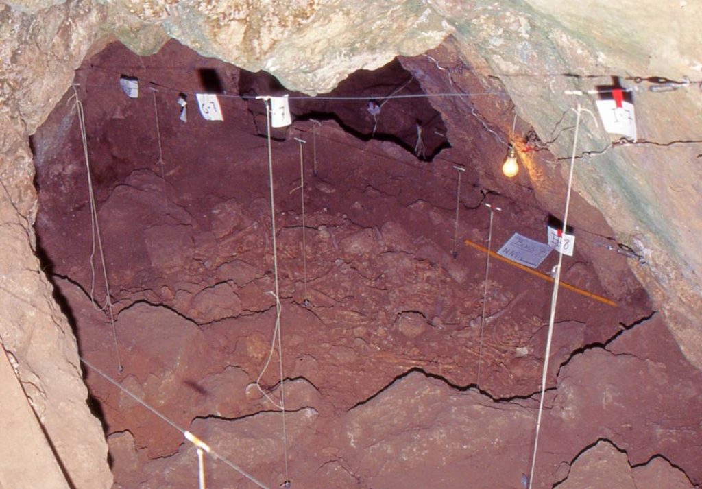 Enterrament múltiple calcolític de la Cova dels Blaus, campanya d’excavació de 1995