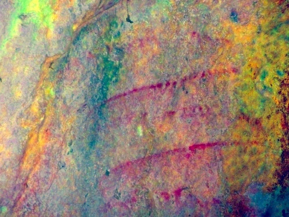 Signe meandriforme pintat